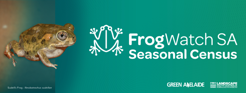 FrogWatch SA seasonal census-2-Webpage cover